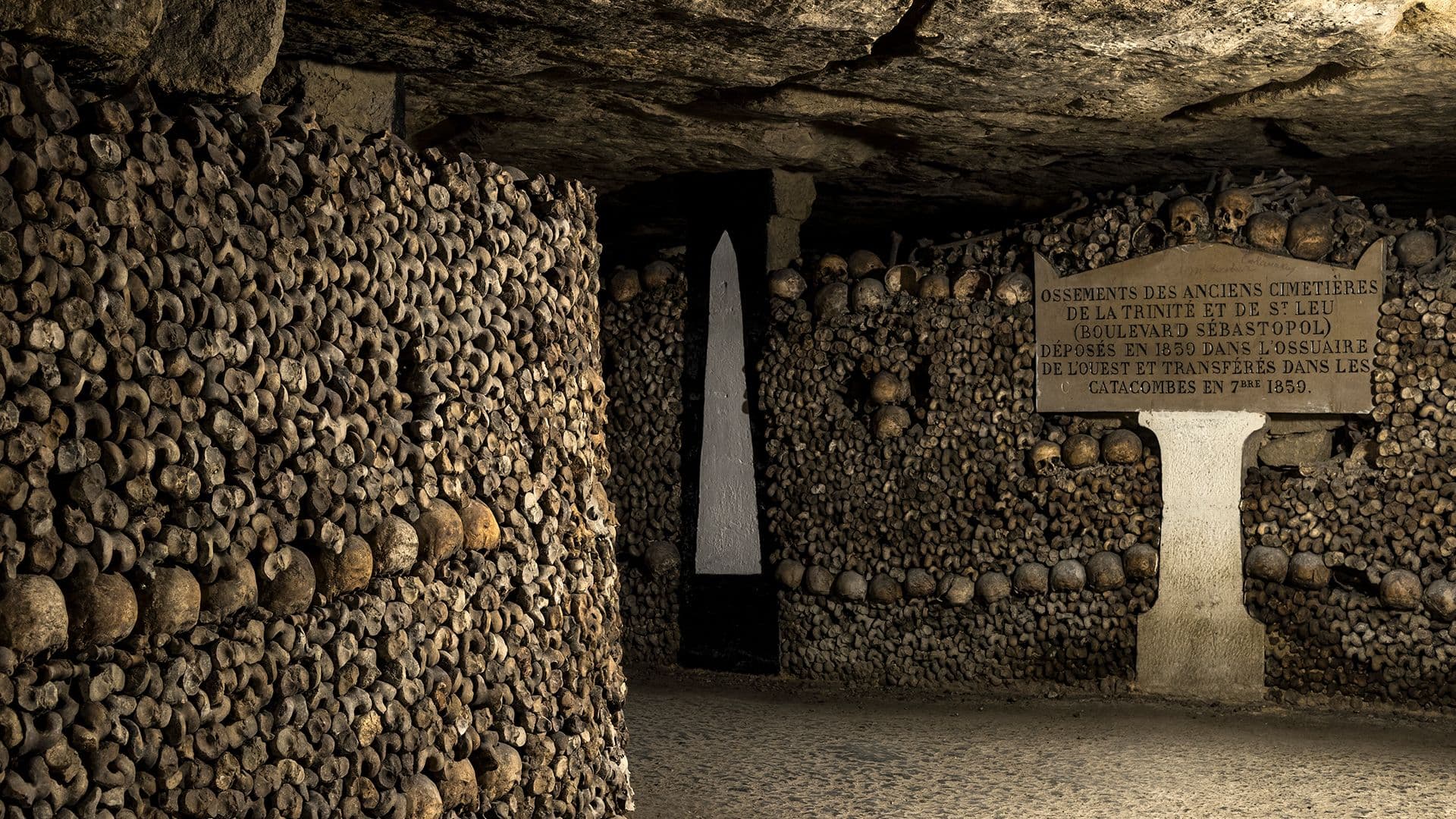 Full Day Tour to Alexandria (Catacombs, Library & Qaitbay Citadel)
