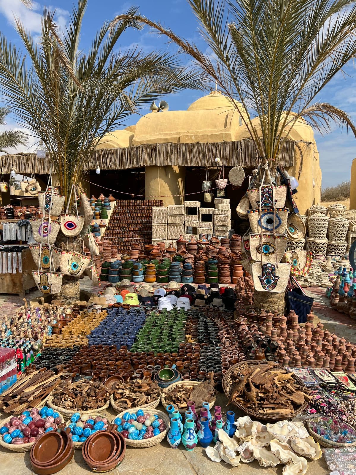 Full Day Tour to Fayoum Oasis (Wadi El Rayan, Wadi El Hitan, 4x4 & Sandboarding) 2