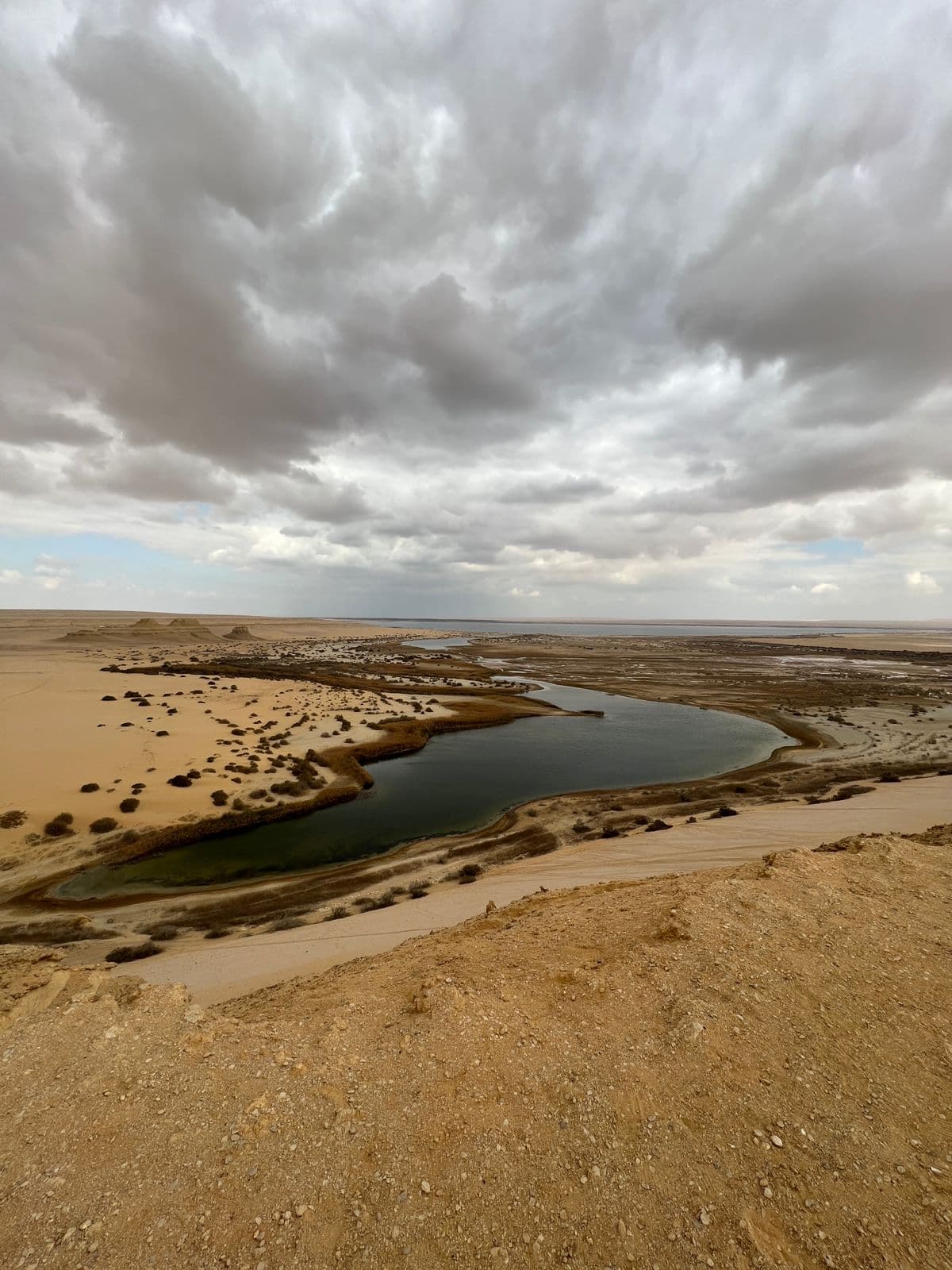 Full Day Tour to Fayoum Oasis (Wadi El Rayan, Wadi El Hitan, 4x4 & Sandboarding) 4