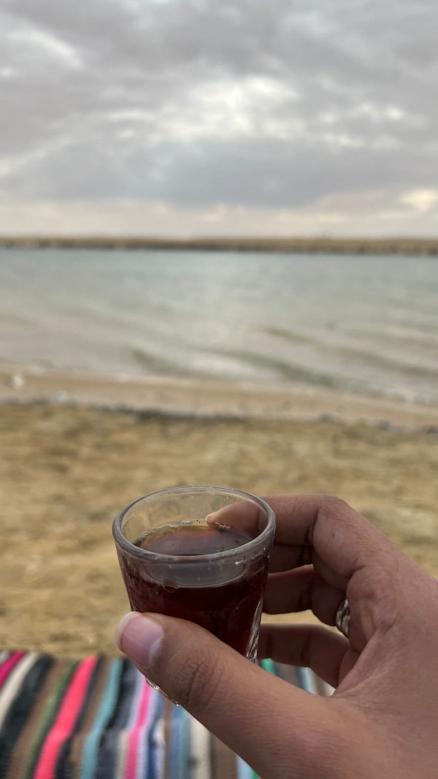 Full Day Tour to Fayoum Oasis (Wadi El Rayan, Wadi El Hitan, 4x4 & Sandboarding) 8