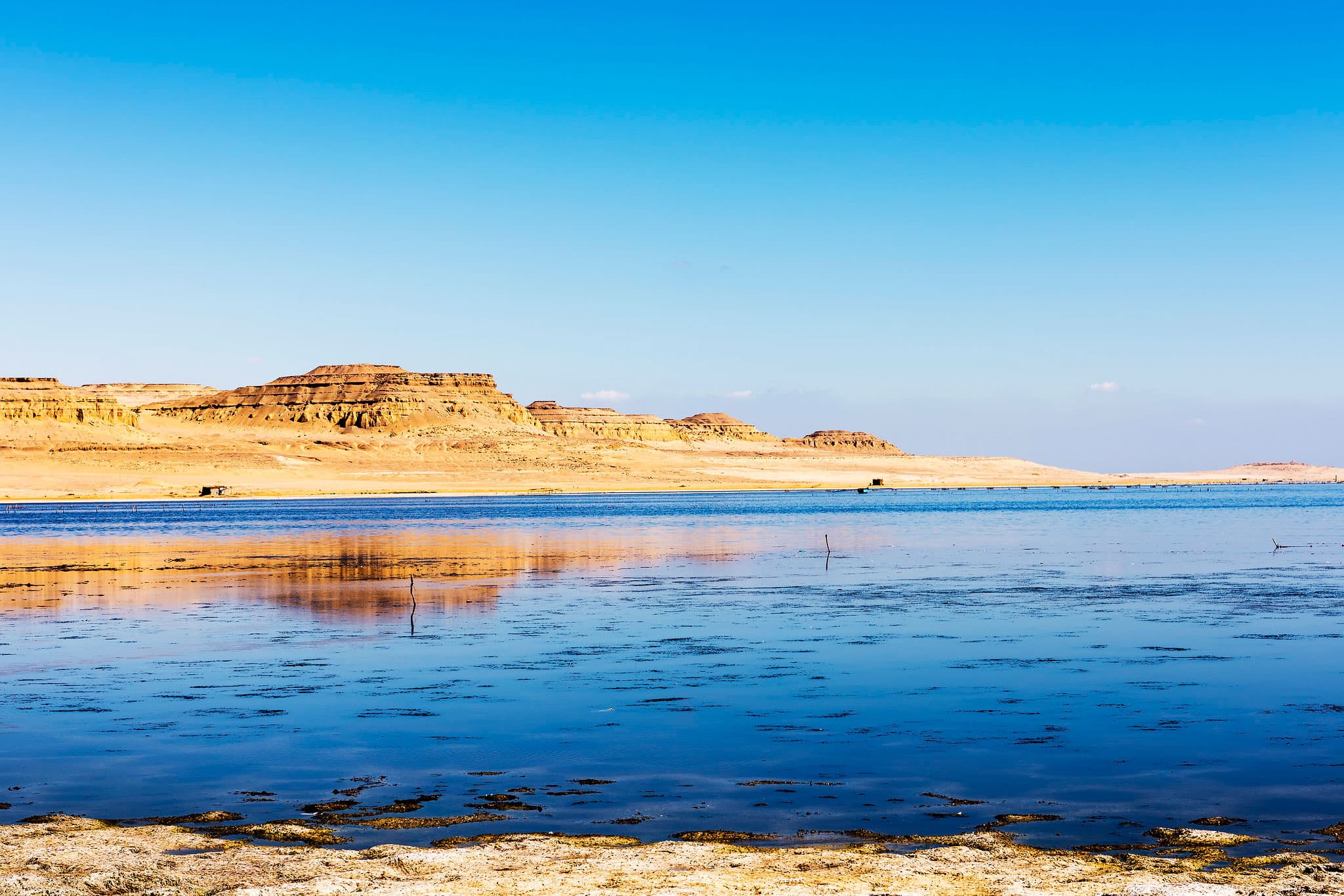4 Days Tour Giza, Cairo, Alexandria & Fayoum Oasis 2