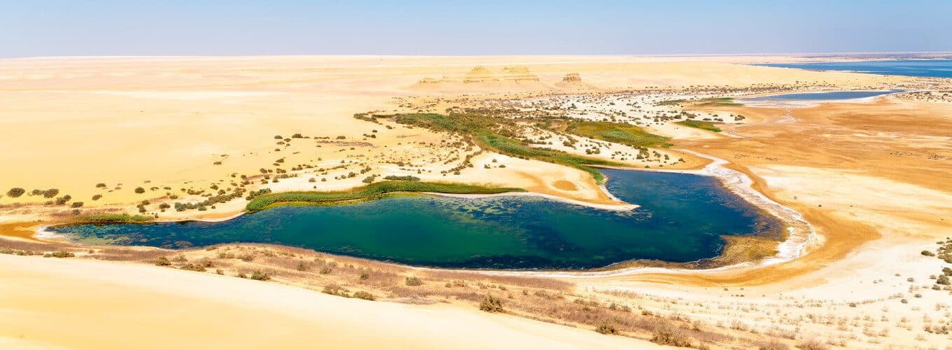 4 Days Tour Giza, Cairo, Alexandria & Fayoum Oasis 3